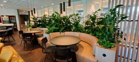 ndboaaAFXMOZJm1Tougewi2yIenyueOpQA